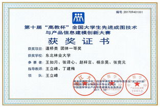 數字建模展鋒芒，土木學子勇奪全國成圖大賽團體桂冠